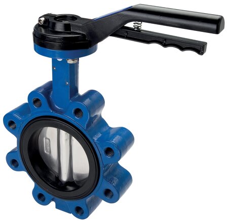 Exemplary representation: Flange mounted valve